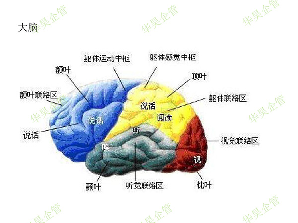 生产计划|如何理解“计划指挥生产”